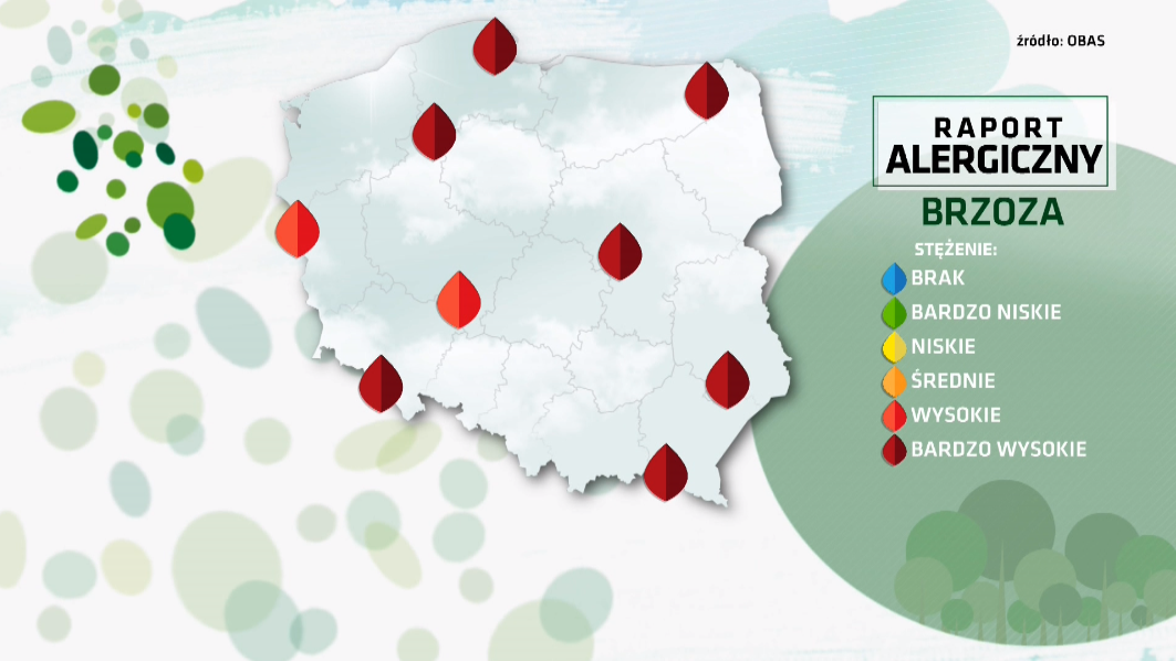 Archiwum TVN Meteo – Raport Alergiczny. Sprawdź, Co Obecnie Pyli W Polsce